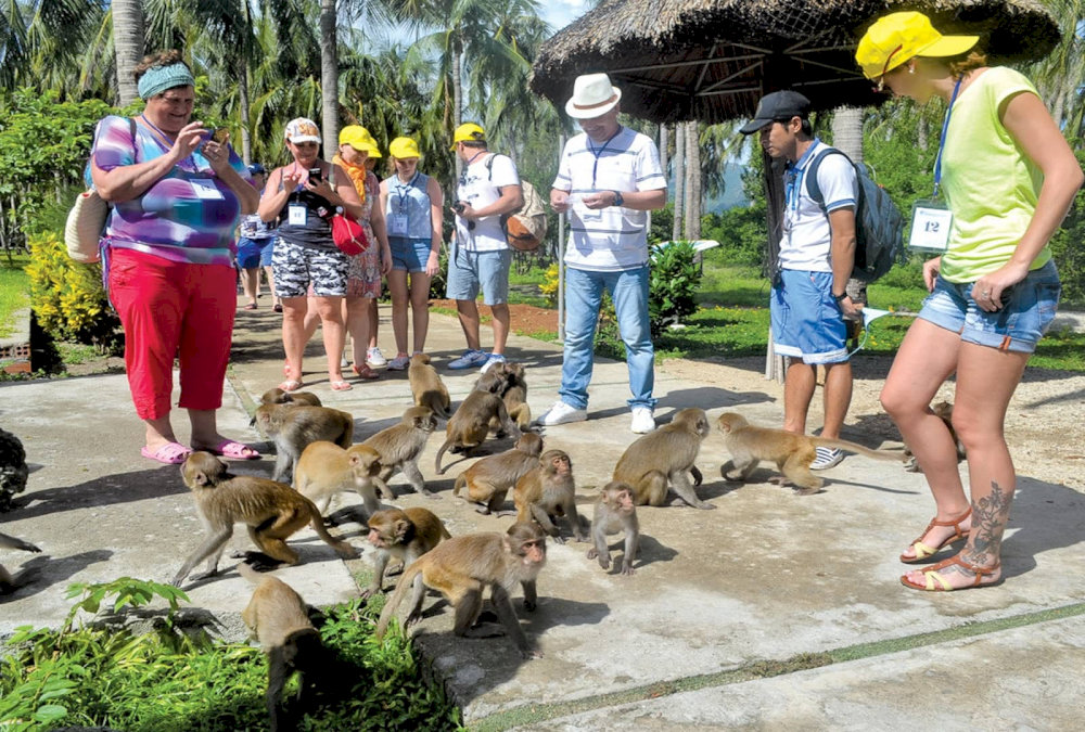 With its convenient location, engaging activities, and rich history, Nha Trang Monkey Island offers an unforgettable experience for both families and solo travelers alike